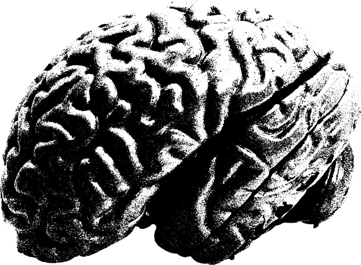 test-filter-img